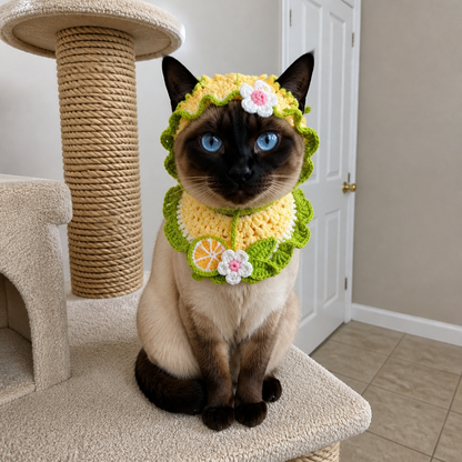 Kitty Crochet Set