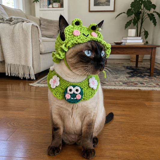 Kitty Crochet Set