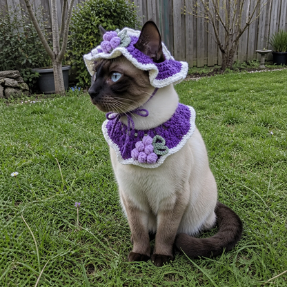 Kitty Crochet Set