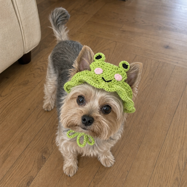Crochet puppy Set